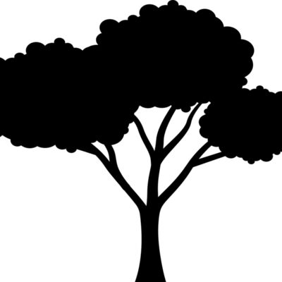 40 Tree Thumbnail