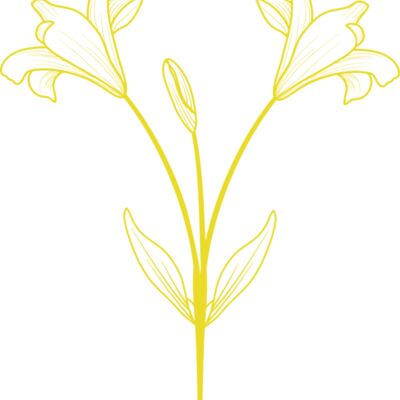 Flowers 9 Thumbnail